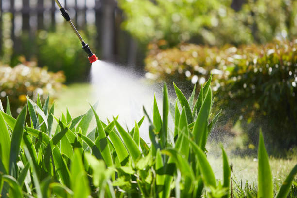 24/7 Emergency Mosquito Control experts in Vilonia, AR